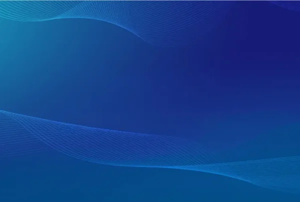 Custom Application Development