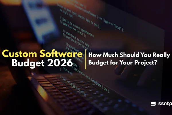 Custom Software Budget 2026